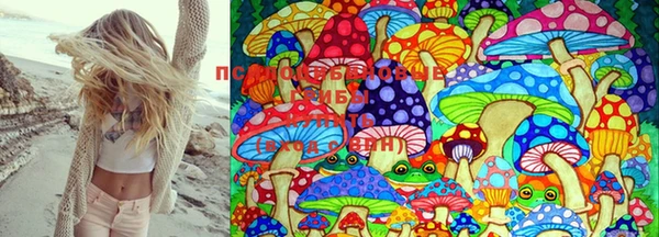 марихуана Новодвинск