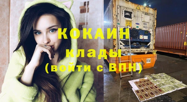 стафф Дегтярск