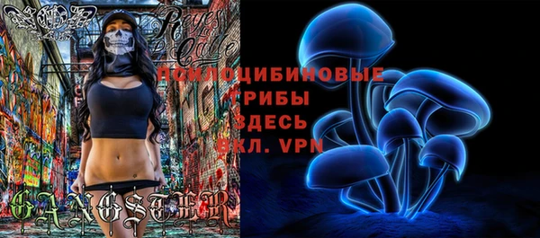 марихуана Новодвинск