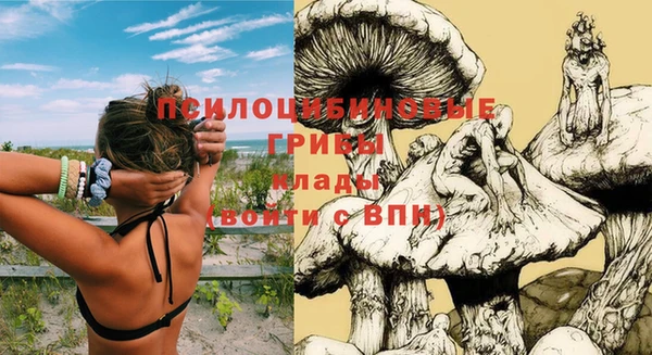 винт Няндома