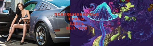 a pvp Дедовск
